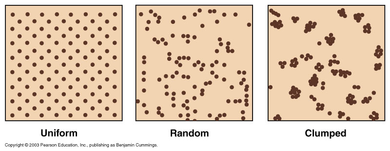 Fundamentals of Ecology Class Meetings Week of 6 February 2006